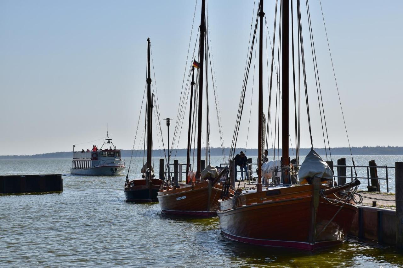 Fewo Moewe Dierhagen Exteriör bild