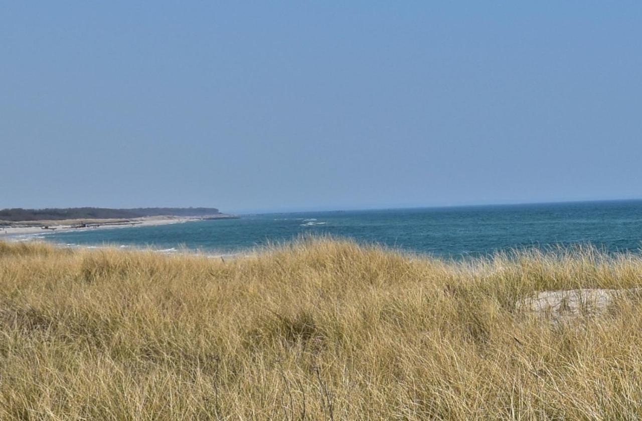 Fewo Moewe Dierhagen Exteriör bild